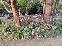 -人民公园(罗湖区)