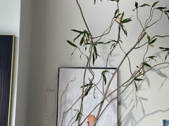 -亮雅轩图文快印连锁24小时(百子湾苹果社区店)