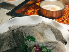 -二荆条·蜀鲜汇城市森林火锅