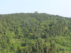 -原山国家森林公园