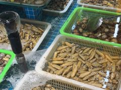 -和源祥·日照菜扛把子(万平口一店)