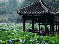 -龙头寺公园