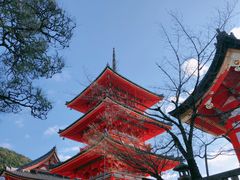 -有栖山 清光院 清水寺