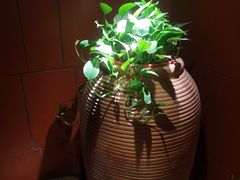 -临家闽南菜(大唐店)