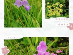 -白草畔自然风景区