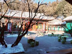 -宫事颐庭·老佛爷贵寿下午茶(颐和园店)