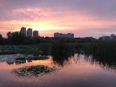 -前关湿地公园