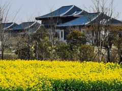 -广富林郊野公园