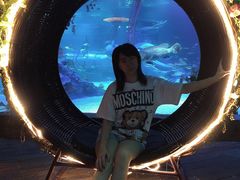 -沈阳海洋探索中心