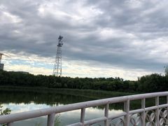 -大兴滨河森林公园