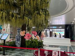 -南方医科大学深圳医院