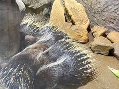 -青青世界