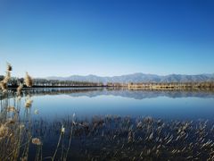 -野鸭湖国家湿地公园