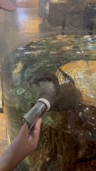 -Zoolung Zoolung动物主题公园(海信广场店)