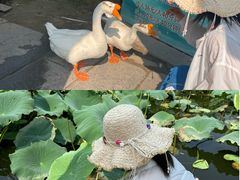 -中国翰园碑林