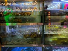 -桥东喜碧海鲜街(水东街店)