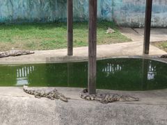 -无锡动物园·太湖欢乐园