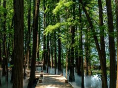 -东湖落雁景区