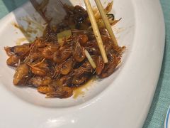 -西塘人家•黑金冠本地好店