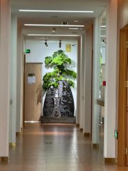 -苏州卫康美容医院