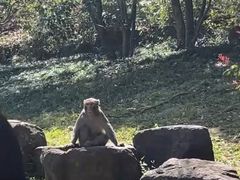 -苏州上方山国家森林公园