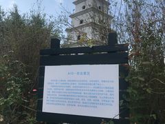 -亚龙湾国际玫瑰谷