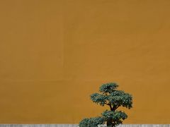 -杭州上天竺法喜讲寺