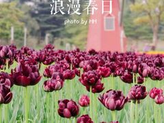 -大宁公园