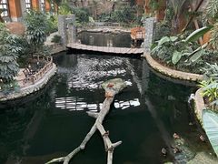 -南宫五洲植物乐园