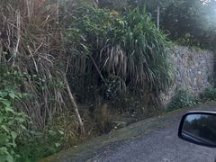 -渔寮风景区