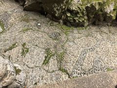 -东山雕花楼