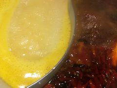 -青瓷火锅料理(西单大悦城店)
