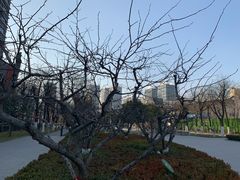 景点-木塔寺遗址生态公园