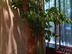 -王府茶楼茶宴·创意菜(大观园总店)