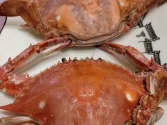 -宾朋海鲜饭庄(兴海路店)