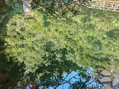 -太湖源风景区