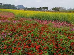 -光明小镇欢乐田园