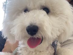 -艾贝尔宠物医院·狂犬免疫点(江山金象城店)