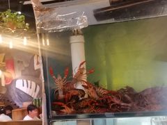 -小俩口烧烤东北菜(双井店)