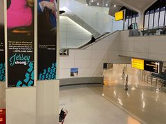 -纽瓦克自由国际机场