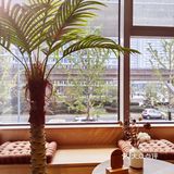 南京南站！唯一喝的咖啡