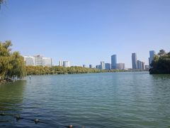 -天鹅湖体育公园