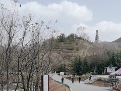-青藏高原野生动物园