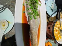 太湖白鱼-苏帮袁Sue Cuisine(南开大悦城店)