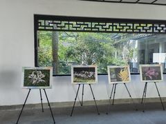 -杭州植物园