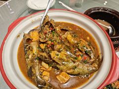-辛香味烧鱼馆·非遗技艺·排骨红烧肉(光谷医药园店)