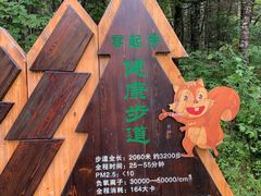 -汤旺河林海奇石景区