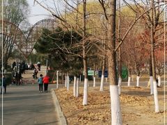 -长白岛森林公园