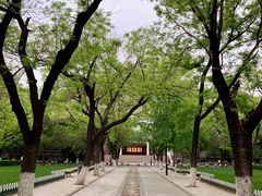 -山东大学(趵突泉校区)