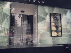 -BLACKSWAN黑天鹅(环球店)